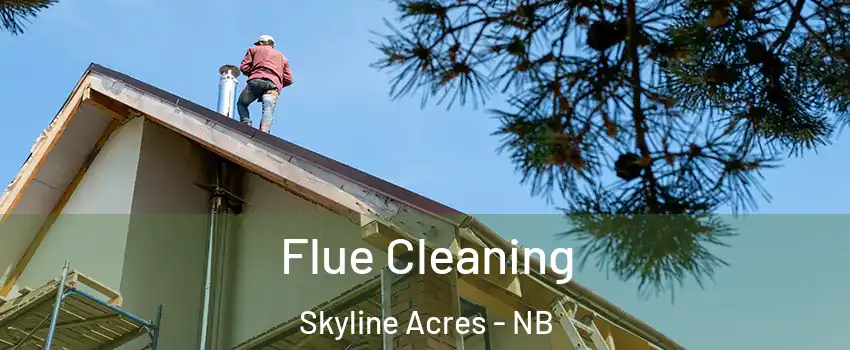  Flue Cleaning Skyline Acres - NB