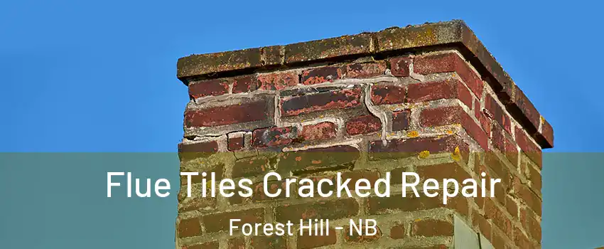  Flue Tiles Cracked Repair Forest Hill - NB