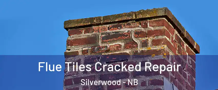  Flue Tiles Cracked Repair Silverwood - NB