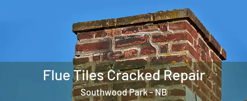  Flue Tiles Cracked Repair Southwood Park - NB