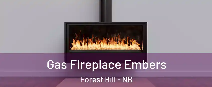 Gas Fireplace Embers Forest Hill - NB