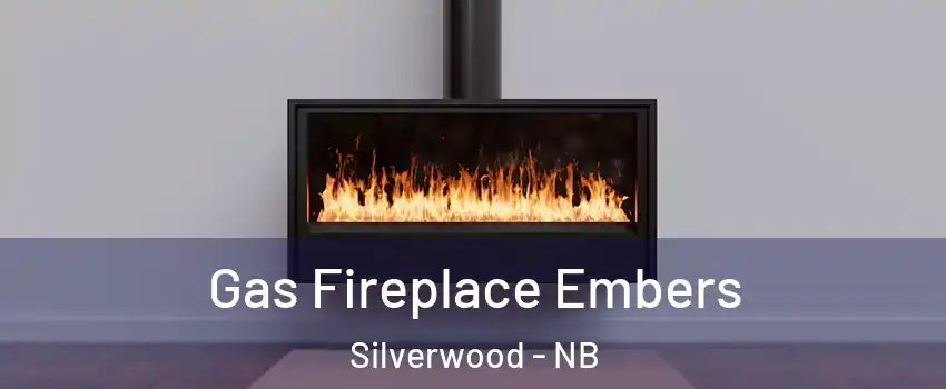 Gas Fireplace Embers Silverwood - NB