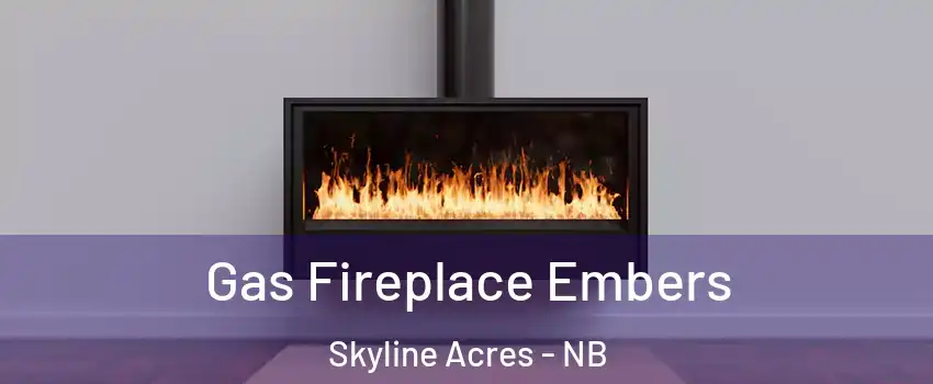  Gas Fireplace Embers Skyline Acres - NB