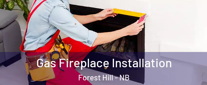  Gas Fireplace Installation Forest Hill - NB