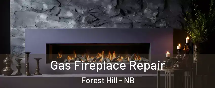  Gas Fireplace Repair Forest Hill - NB