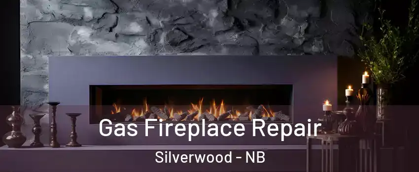  Gas Fireplace Repair Silverwood - NB