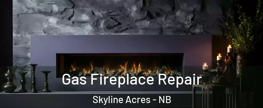  Gas Fireplace Repair Skyline Acres - NB