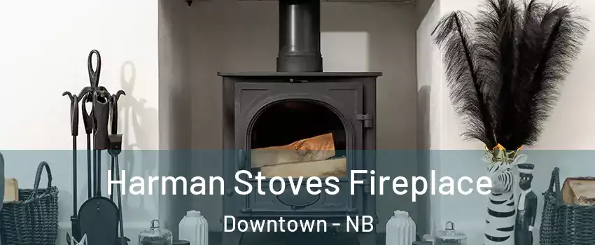  Harman Stoves Fireplace Downtown - NB