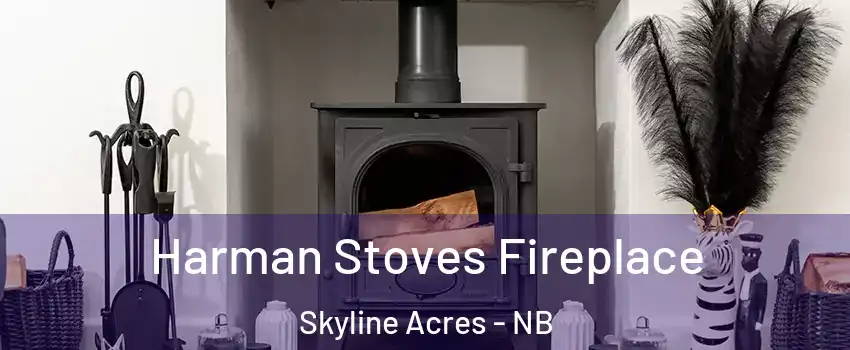  Harman Stoves Fireplace Skyline Acres - NB