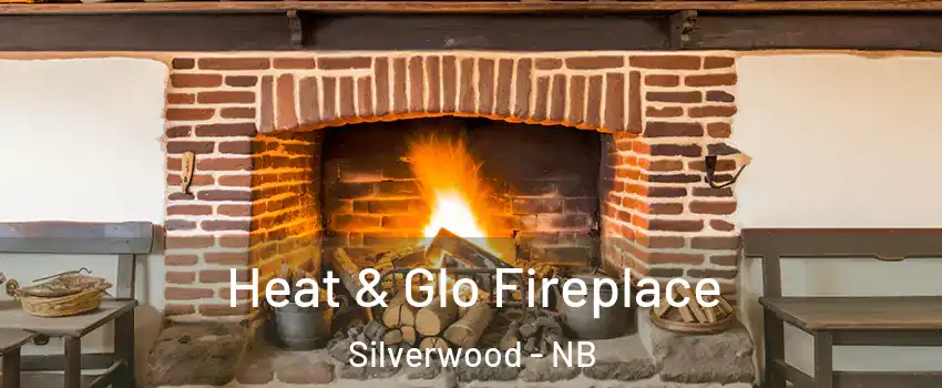  Heat & Glo Fireplace Silverwood - NB