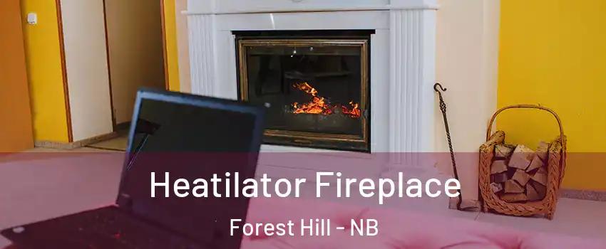  Heatilator Fireplace Forest Hill - NB