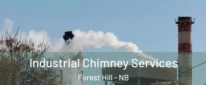  Industrial Chimney Services Forest Hill - NB
