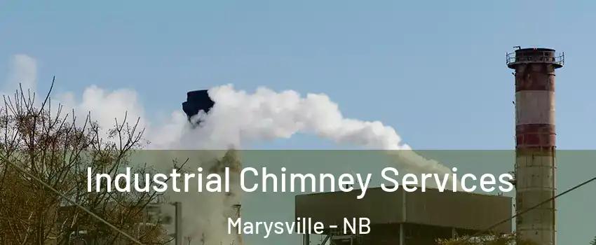  Industrial Chimney Services Marysville - NB