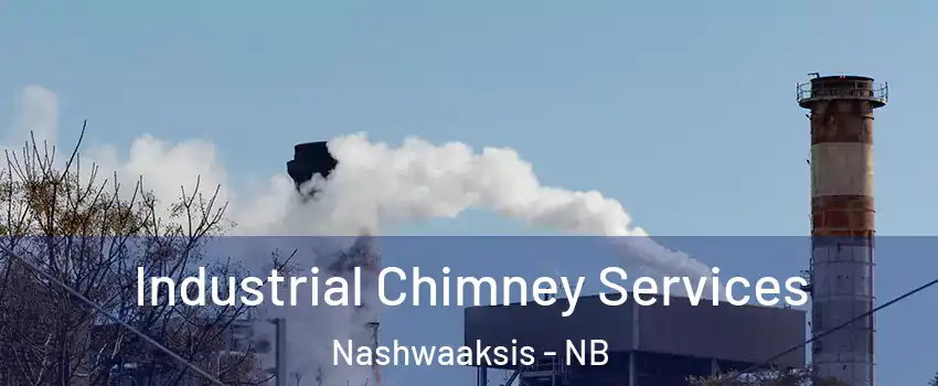  Industrial Chimney Services Nashwaaksis - NB