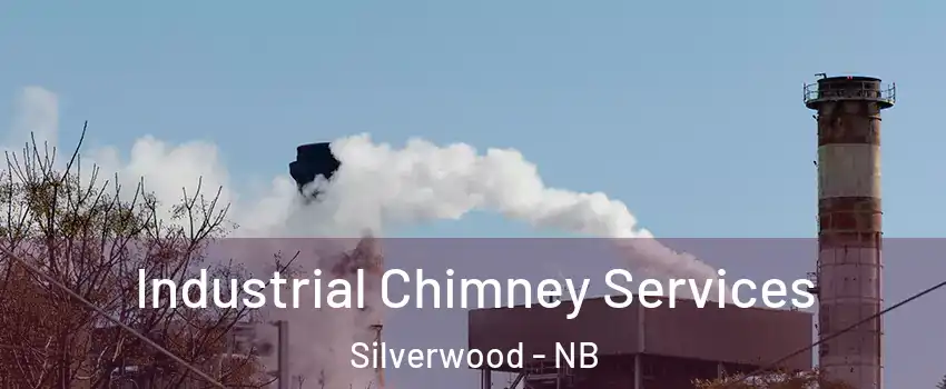  Industrial Chimney Services Silverwood - NB