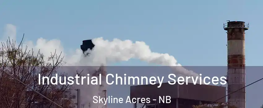  Industrial Chimney Services Skyline Acres - NB