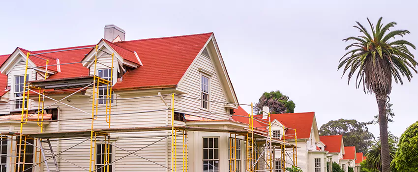 Commercial Chimney Blockage Removal in Fredericton, New Brunswick