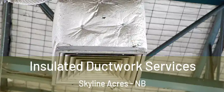  Insulated Ductwork Services Skyline Acres - NB