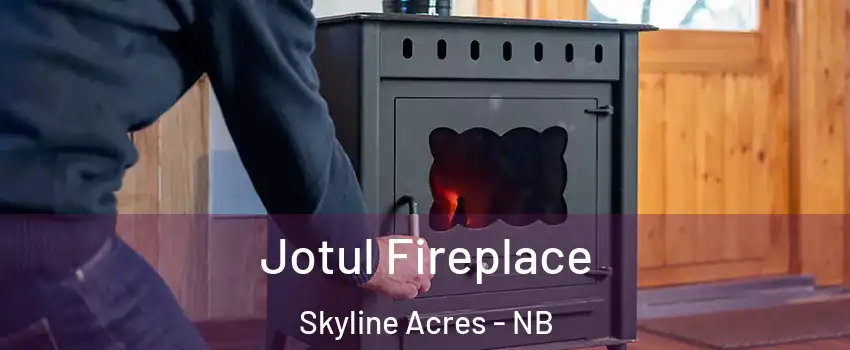  Jotul Fireplace Skyline Acres - NB