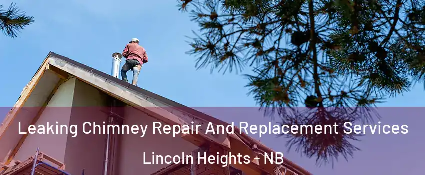  Leaking Chimney Repair And Replacement Services Lincoln Heights - NB