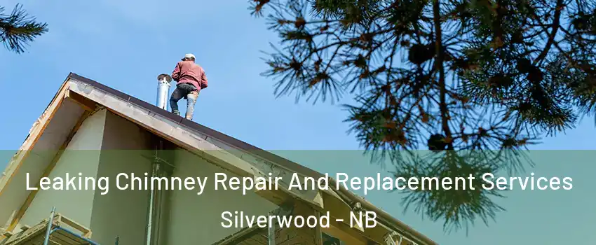  Leaking Chimney Repair And Replacement Services Silverwood - NB