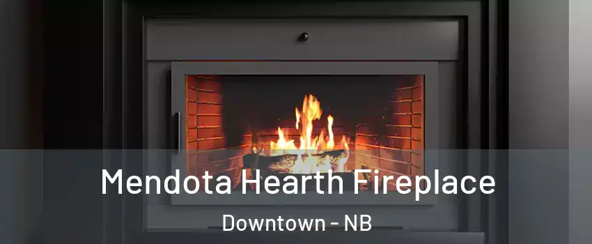  Mendota Hearth Fireplace Downtown - NB