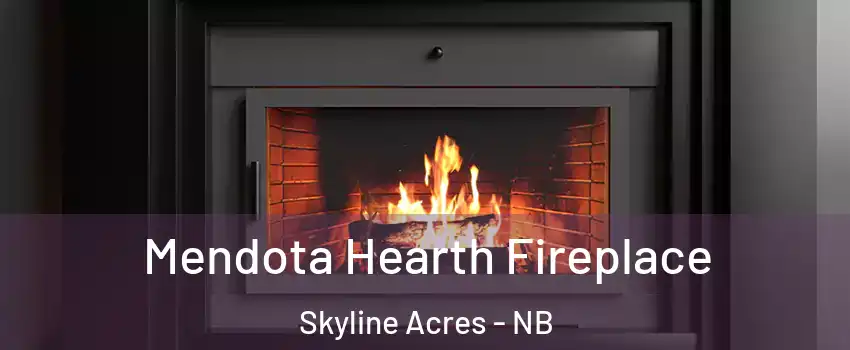  Mendota Hearth Fireplace Skyline Acres - NB