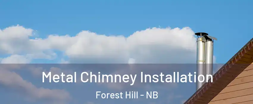  Metal Chimney Installation Forest Hill - NB