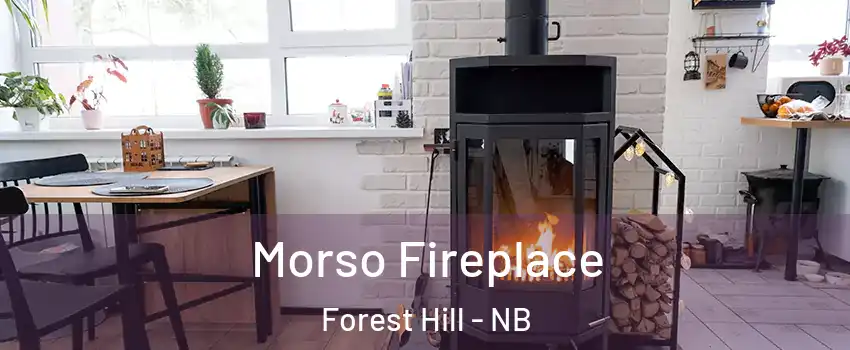  Morso Fireplace Forest Hill - NB