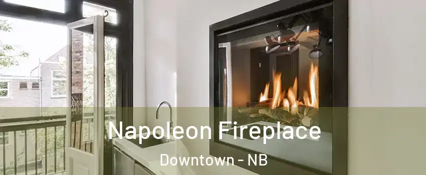  Napoleon Fireplace Downtown - NB
