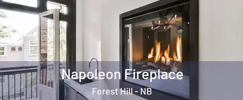  Napoleon Fireplace Forest Hill - NB