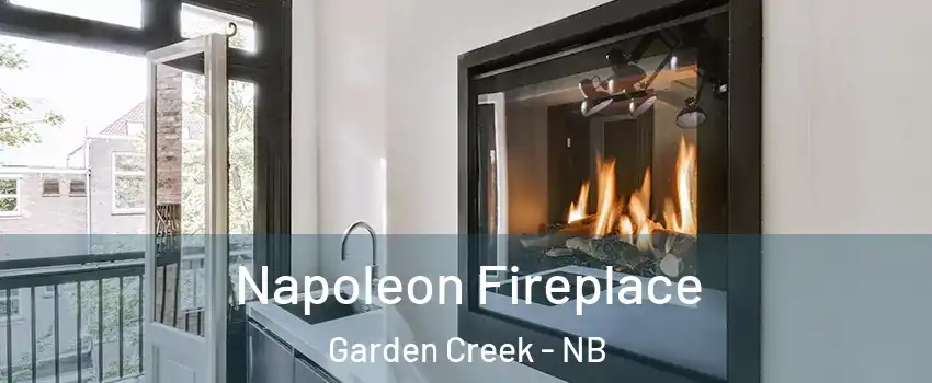  Napoleon Fireplace Garden Creek - NB