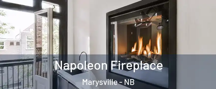  Napoleon Fireplace Marysville - NB