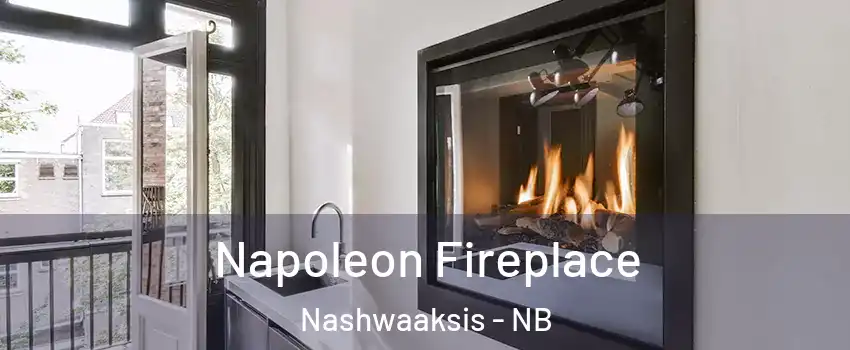  Napoleon Fireplace Nashwaaksis - NB