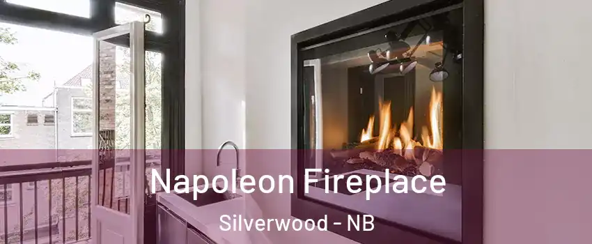Napoleon Fireplace Silverwood - NB
