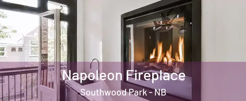  Napoleon Fireplace Southwood Park - NB