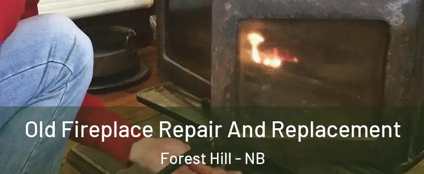  Old Fireplace Repair And Replacement Forest Hill - NB
