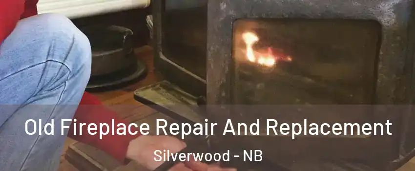 Old Fireplace Repair And Replacement Silverwood - NB