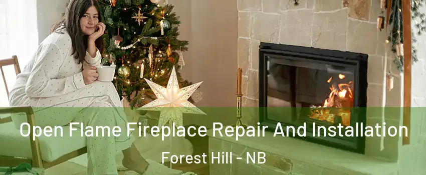  Open Flame Fireplace Repair And Installation Forest Hill - NB