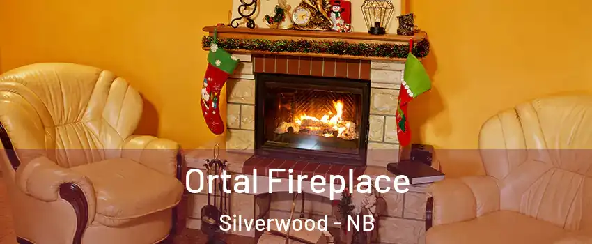  Ortal Fireplace Silverwood - NB