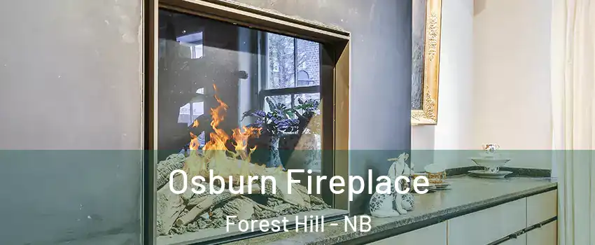  Osburn Fireplace Forest Hill - NB