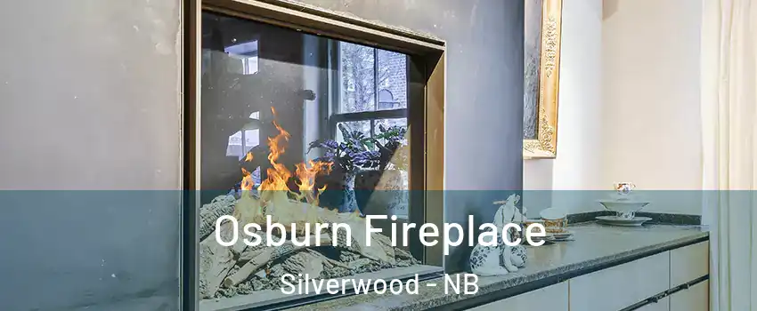  Osburn Fireplace Silverwood - NB