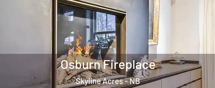  Osburn Fireplace Skyline Acres - NB