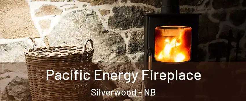  Pacific Energy Fireplace Silverwood - NB
