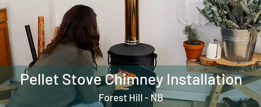  Pellet Stove Chimney Installation Forest Hill - NB