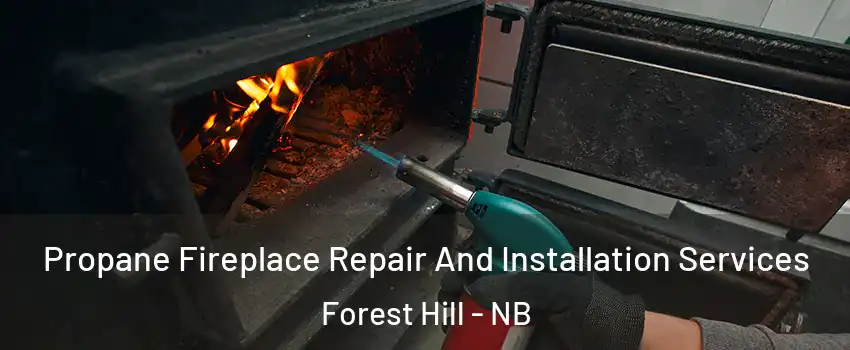  Propane Fireplace Repair And Installation Services Forest Hill - NB