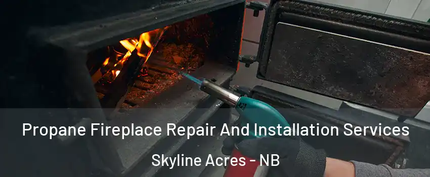 Propane Fireplace Repair And Installation Services Skyline Acres - NB