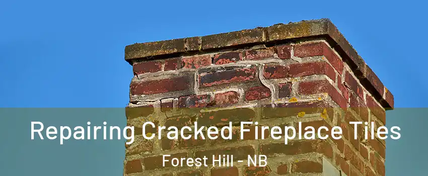 Repairing Cracked Fireplace Tiles Forest Hill - NB