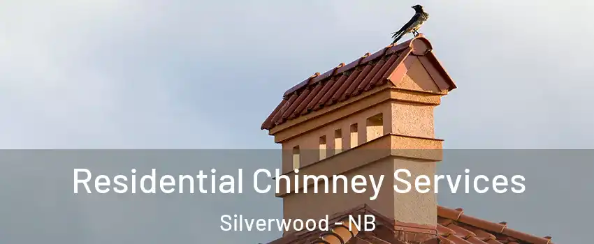  Residential Chimney Services Silverwood - NB