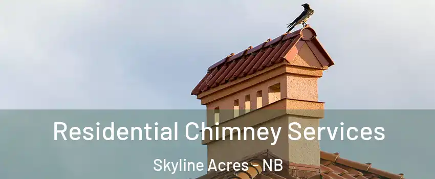 Residential Chimney Services Skyline Acres - NB